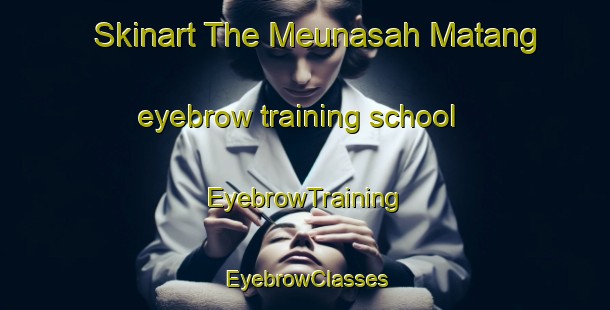 Skinart The Meunasah Matang eyebrow training school | EyebrowTraining | EyebrowClasses | SkinartTraining-Indonesia