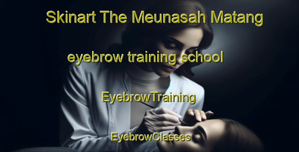 Skinart The Meunasah Matang eyebrow training school | EyebrowTraining | EyebrowClasses | SkinartTraining-Indonesia