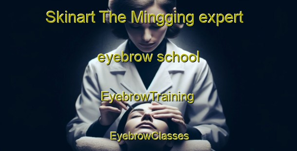 Skinart The Mingging expert eyebrow school | EyebrowTraining | EyebrowClasses | SkinartTraining-Indonesia