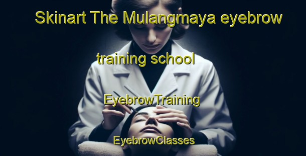 Skinart The Mulangmaya eyebrow training school | EyebrowTraining | EyebrowClasses | SkinartTraining-Indonesia