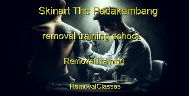 Skinart The Padakembang removal training school | RemovalTraining | RemovalClasses | SkinartTraining-Indonesia