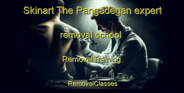 Skinart The Pangadegan expert removal school | RemovalTraining | RemovalClasses | SkinartTraining-Indonesia