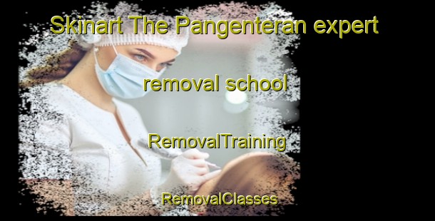 Skinart The Pangenteran expert removal school | RemovalTraining | RemovalClasses | SkinartTraining-Indonesia