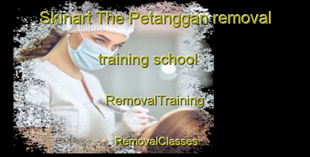 Skinart The Petanggan removal training school | RemovalTraining | RemovalClasses | SkinartTraining-Indonesia