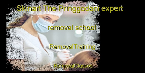 Skinart The Pringgodani expert removal school | RemovalTraining | RemovalClasses | SkinartTraining-Indonesia