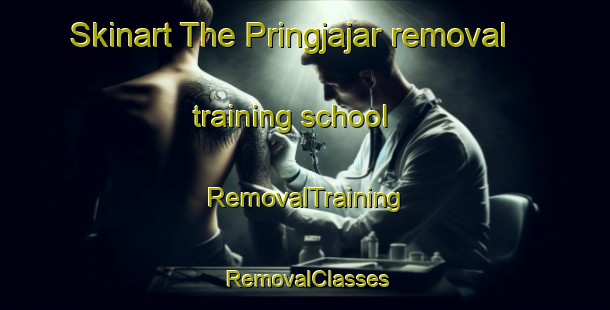 Skinart The Pringjajar removal training school | RemovalTraining | RemovalClasses | SkinartTraining-Indonesia