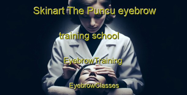 Skinart The Puncu eyebrow training school | EyebrowTraining | EyebrowClasses | SkinartTraining-Indonesia