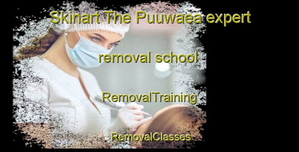 Skinart The Puuwaea expert removal school | RemovalTraining | RemovalClasses | SkinartTraining-Indonesia