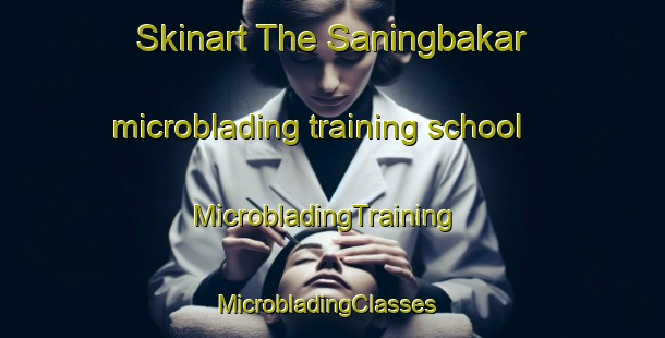 Skinart The Saningbakar microblading training school | MicrobladingTraining | MicrobladingClasses | SkinartTraining-Indonesia