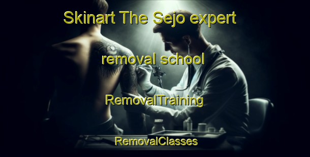 Skinart The Sejo expert removal school | RemovalTraining | RemovalClasses | SkinartTraining-Indonesia