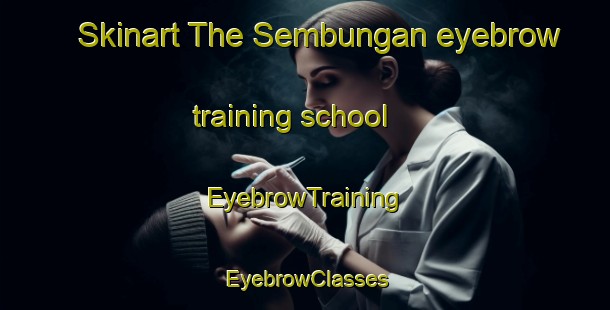 Skinart The Sembungan eyebrow training school | EyebrowTraining | EyebrowClasses | SkinartTraining-Indonesia