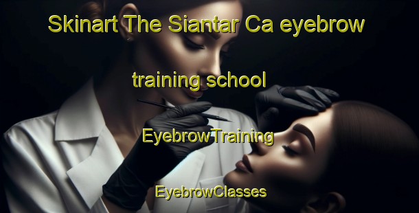 Skinart The Siantar Ca eyebrow training school | EyebrowTraining | EyebrowClasses | SkinartTraining-Indonesia