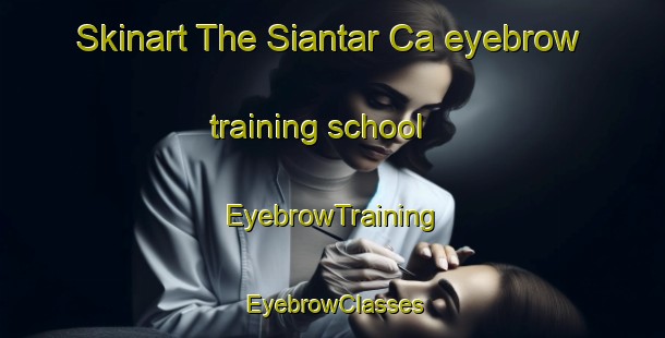 Skinart The Siantar Ca eyebrow training school | EyebrowTraining | EyebrowClasses | SkinartTraining-Indonesia
