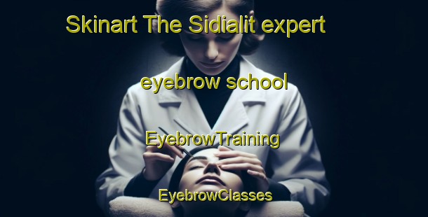 Skinart The Sidialit expert eyebrow school | EyebrowTraining | EyebrowClasses | SkinartTraining-Indonesia
