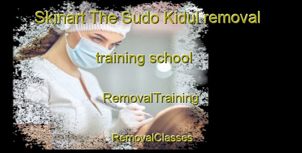 Skinart The Sudo Kidul removal training school | RemovalTraining | RemovalClasses | SkinartTraining-Indonesia