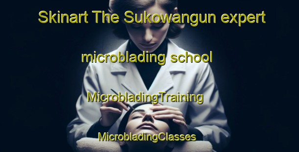 Skinart The Sukowangun expert microblading school | MicrobladingTraining | MicrobladingClasses | SkinartTraining-Indonesia