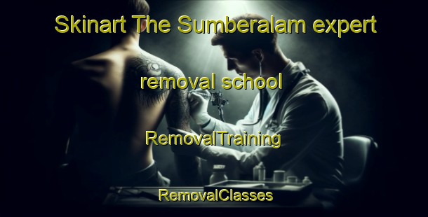 Skinart The Sumberalam expert removal school | RemovalTraining | RemovalClasses | SkinartTraining-Indonesia
