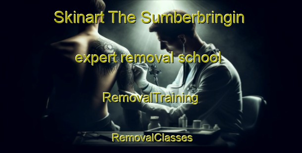 Skinart The Sumberbringin expert removal school | RemovalTraining | RemovalClasses | SkinartTraining-Indonesia