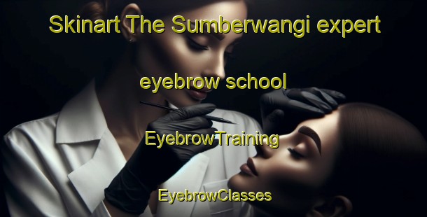 Skinart The Sumberwangi expert eyebrow school | EyebrowTraining | EyebrowClasses | SkinartTraining-Indonesia
