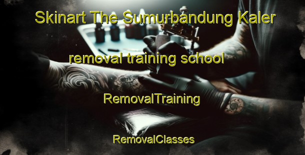 Skinart The Sumurbandung Kaler removal training school | RemovalTraining | RemovalClasses | SkinartTraining-Indonesia