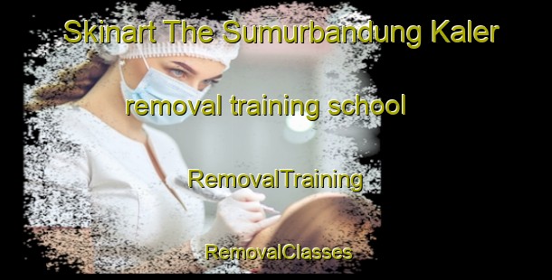 Skinart The Sumurbandung Kaler removal training school | RemovalTraining | RemovalClasses | SkinartTraining-Indonesia