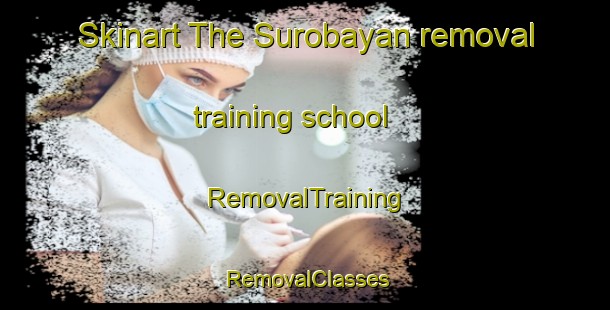 Skinart The Surobayan removal training school | RemovalTraining | RemovalClasses | SkinartTraining-Indonesia