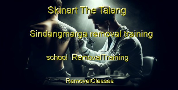Skinart The Talang Sindangmarga removal training school | RemovalTraining | RemovalClasses | SkinartTraining-Indonesia