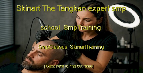 Skinart The Tangkan expert smp school | SmpTraining | SmpClasses | SkinartTraining-Indonesia