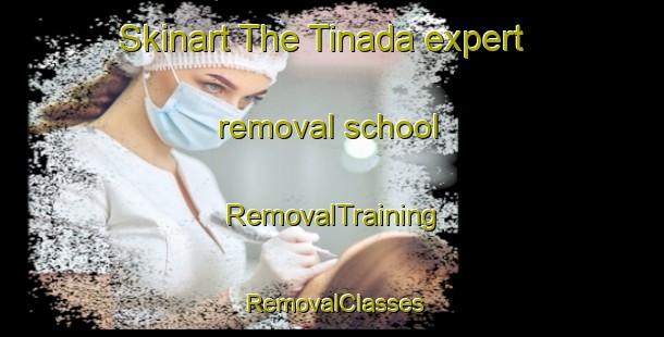 Skinart The Tinada expert removal school | RemovalTraining | RemovalClasses | SkinartTraining-Indonesia