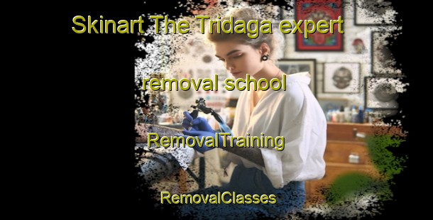 Skinart The Tridaga expert removal school | RemovalTraining | RemovalClasses | SkinartTraining-Indonesia