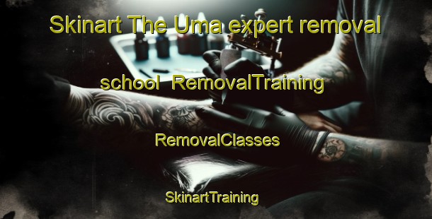 Skinart The Uma expert removal school | RemovalTraining | RemovalClasses | SkinartTraining-Indonesia