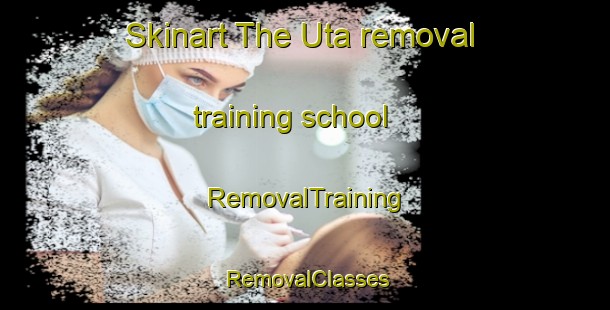 Skinart The Uta removal training school | RemovalTraining | RemovalClasses | SkinartTraining-Indonesia