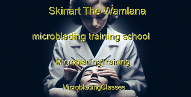 Skinart The Wamlana microblading training school | MicrobladingTraining | MicrobladingClasses | SkinartTraining-Indonesia