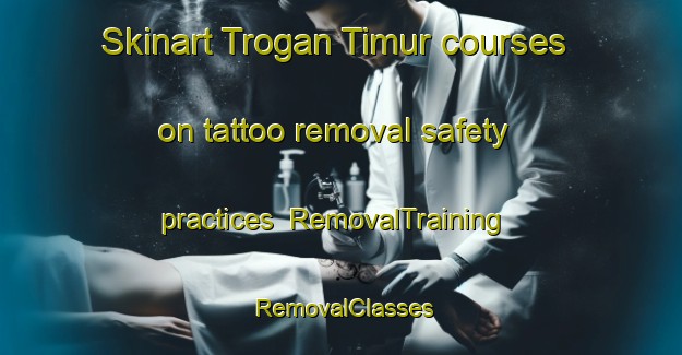 Skinart Trogan Timur courses on tattoo removal safety practices | RemovalTraining | RemovalClasses | SkinartTraining-Indonesia