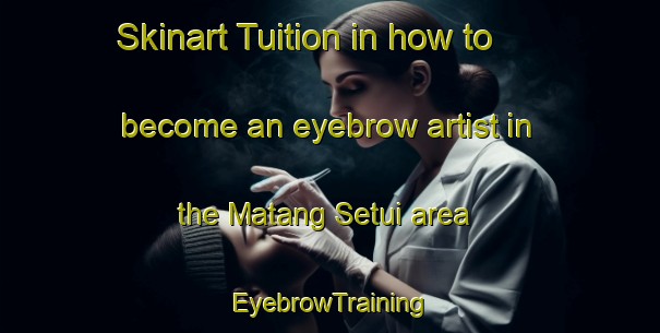 Skinart Tuition in how to become an eyebrow artist in the Matang Setui area | EyebrowTraining | EyebrowClasses | SkinartTraining-Indonesia