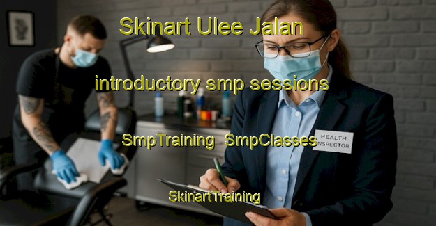 Skinart Ulee Jalan introductory smp sessions | SmpTraining | SmpClasses | SkinartTraining-Indonesia