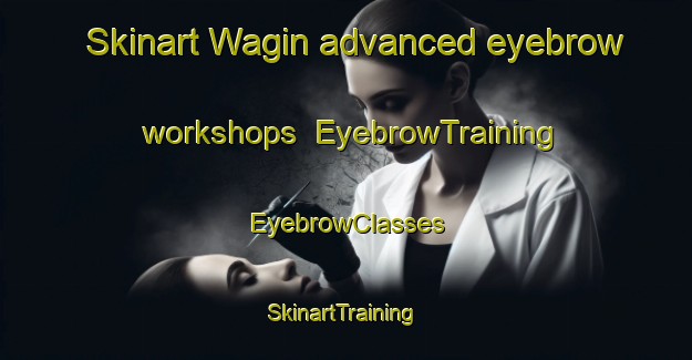 Skinart Wagin advanced eyebrow workshops | EyebrowTraining | EyebrowClasses | SkinartTraining-Indonesia