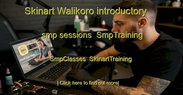 Skinart Walikoro introductory smp sessions | SmpTraining | SmpClasses | SkinartTraining-Indonesia