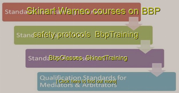 Skinart Wameo courses on BBP safety protocols | BbpTraining | BbpClasses | SkinartTraining-Indonesia