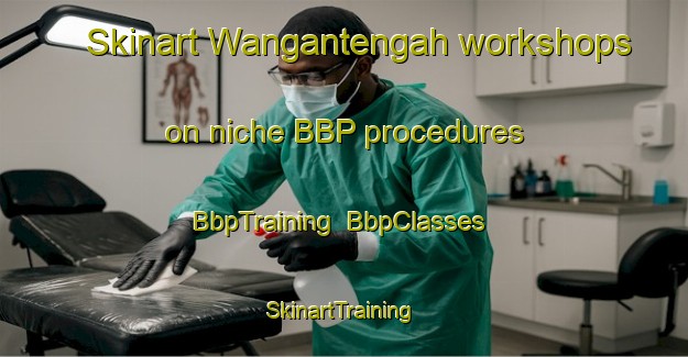 Skinart Wangantengah workshops on niche BBP procedures | BbpTraining | BbpClasses | SkinartTraining-Indonesia