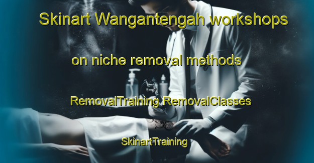 Skinart Wangantengah workshops on niche removal methods | #RemovalTraining #RemovalClasses #SkinartTraining-Indonesia