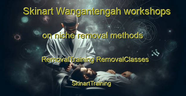 Skinart Wangantengah workshops on niche removal methods | #RemovalTraining #RemovalClasses #SkinartTraining-Indonesia