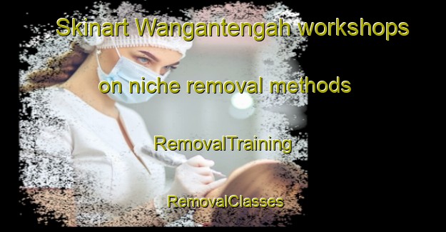 Skinart Wangantengah workshops on niche removal methods | RemovalTraining | RemovalClasses | SkinartTraining-Indonesia
