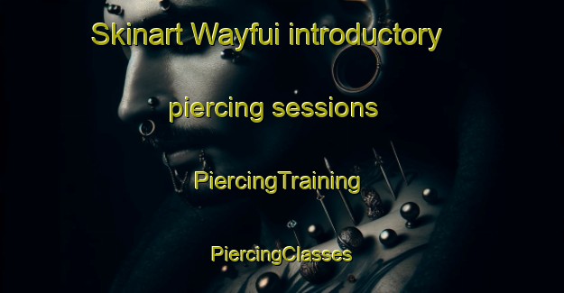 Skinart Wayfui introductory piercing sessions | #PiercingTraining #PiercingClasses #SkinartTraining-Indonesia