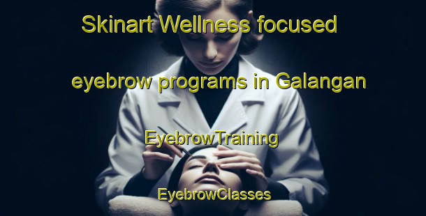 Skinart Wellness-focused eyebrow programs in Galangan | EyebrowTraining | EyebrowClasses | SkinartTraining-Indonesia