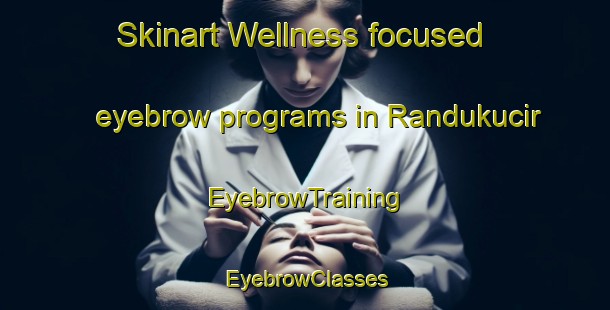 Skinart Wellness-focused eyebrow programs in Randukucir | EyebrowTraining | EyebrowClasses | SkinartTraining-Indonesia
