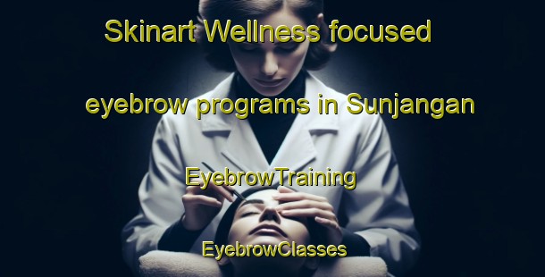 Skinart Wellness-focused eyebrow programs in Sunjangan | EyebrowTraining | EyebrowClasses | SkinartTraining-Indonesia