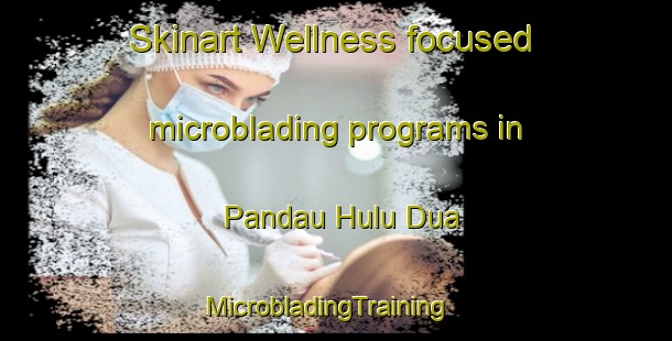 Skinart Wellness-focused microblading programs in Pandau Hulu Dua | MicrobladingTraining | MicrobladingClasses | SkinartTraining-Indonesia