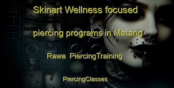 Skinart Wellness-focused piercing programs in Matang Rawa | PiercingTraining | PiercingClasses | SkinartTraining-Indonesia