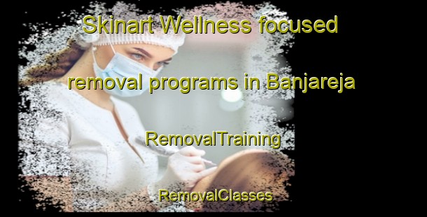 Skinart Wellness-focused removal programs in Banjareja | RemovalTraining | RemovalClasses | SkinartTraining-Indonesia